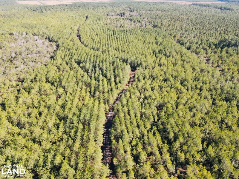 Harrells, Pender County, NC Recreational Property, Timberland Property, Hunting Property for sale Property ID: 418913645