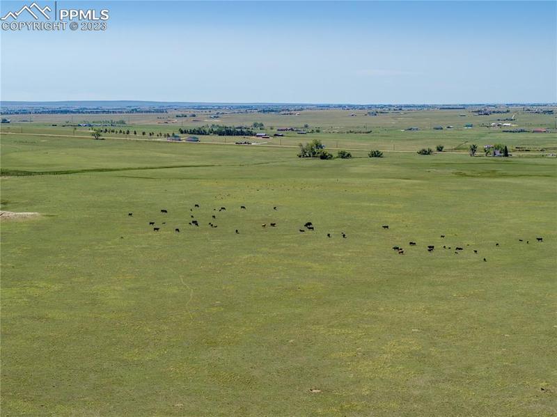 13866 Log Road, Peyton, CO 80831 for Sale