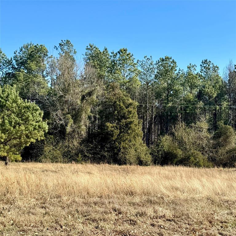 Lot 29 Twin Springs Trail, Omaha, TX 75571 for Sale