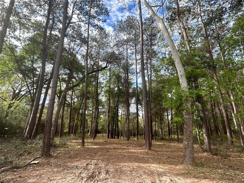 451 Pelican Street, Magnolia, TX 77355 for Sale