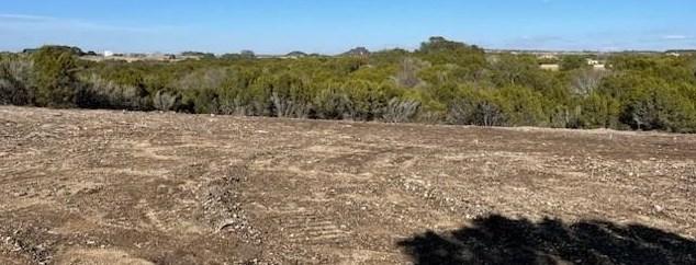 1073 Cedar Hill Dr, Glen Rose, TX 76043 - MLS 20480534 for Sale