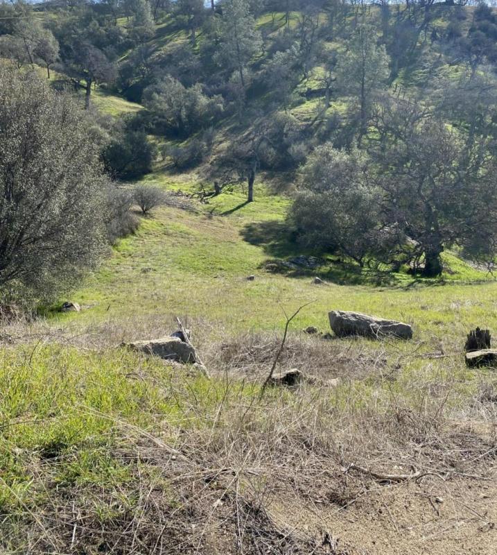 0 LILLEY MOUNTAIN DRIVE, Coarsegold, CA 93614 Unimproved Land For Sale  MLS# 605327 for Rent