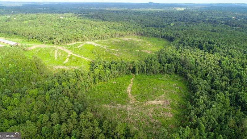 0 Jacksonville Loop (off), Tallapoosa, GA 30176 for Sale
