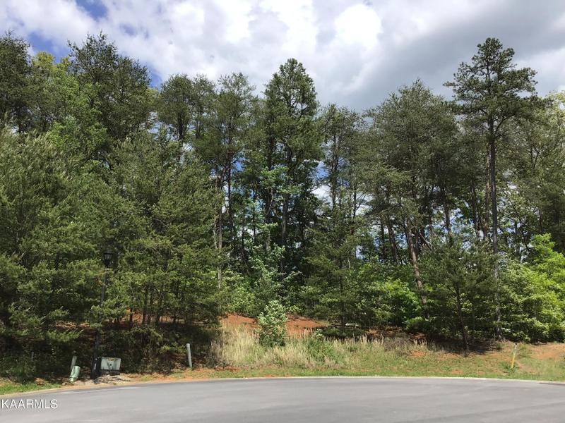Sevierville, Sevier County, TN Undeveloped Land, Homesites for sale Property ID: 418899442