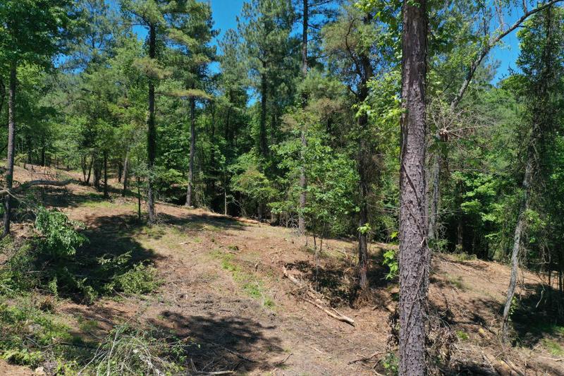 Kirby, Pike County, AR for sale Property ID: 418731408