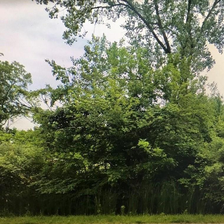 0000 Willow Rd, Belleville, MI 48111 - MLS 23146275 for Sale