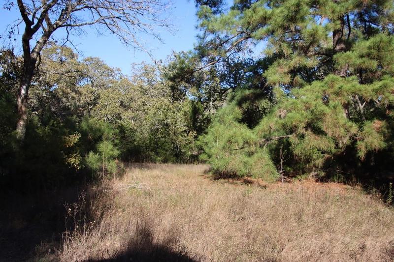 New Ulm, Austin County, TX Farms and Ranches, Recreational Property, Hunting Property for sale Property ID: 418517030