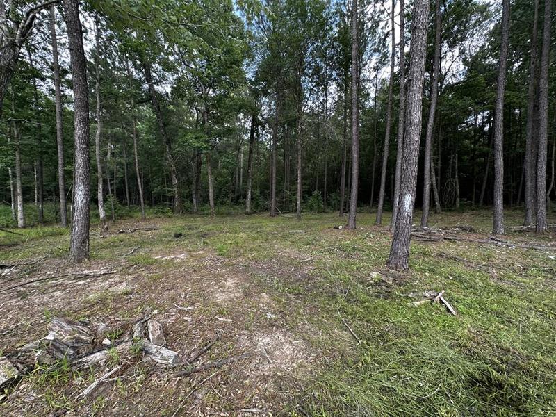 11 Elendor Dr, Cleveland, TX 77328 for Sale