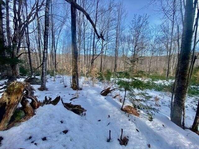 R7-45 Pendexter Road, Parsonsfield, ME 04048  625369097 for Sale