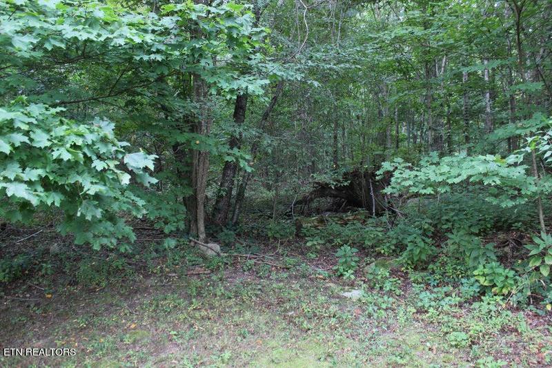 1158 County Road 875, Etowah, TN 37331 for Sale