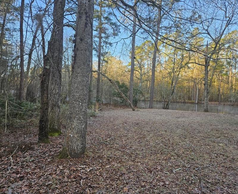 Kingstree, Williamsburg County, SC Undeveloped Land, Homesites for sale Property ID: 418703801