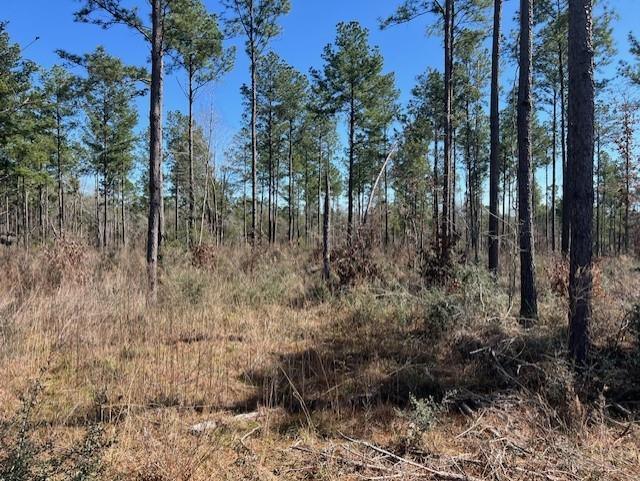 10 Red Lowe Road, Livingston, TX 77351 for Sale