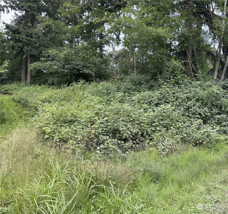 Everett, Snohomish County, WA Undeveloped Land, Homesites for sale Property ID: 418836004