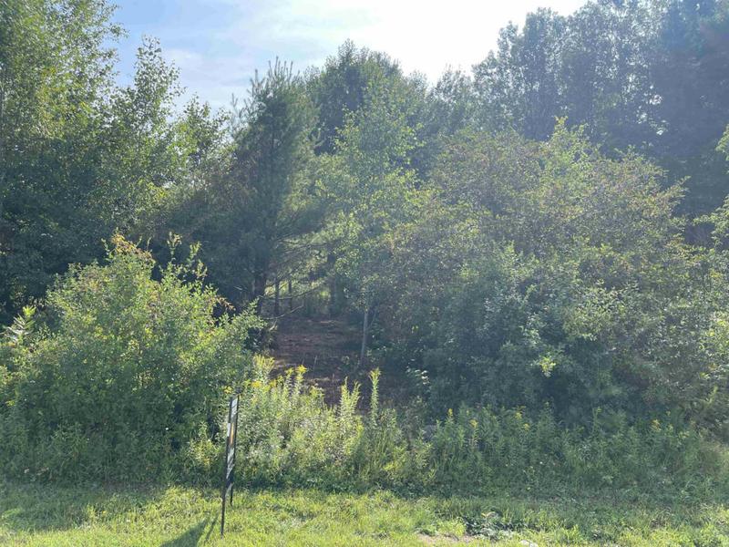 LOT 2 GAVITT STREET, Ringle, WI 54476 Land For Sale  MLS# 22235653