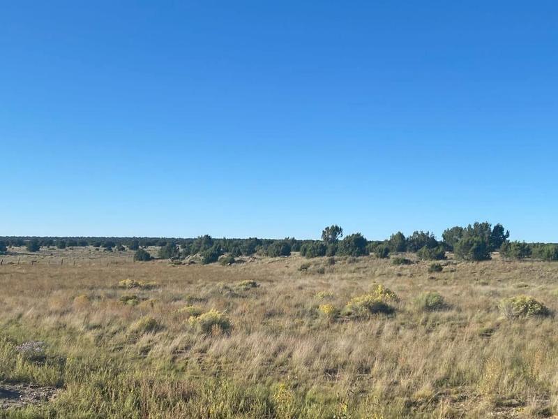Pinehill, Cibola County, NM Recreational Property, Homesites for sale Property ID: 418816418