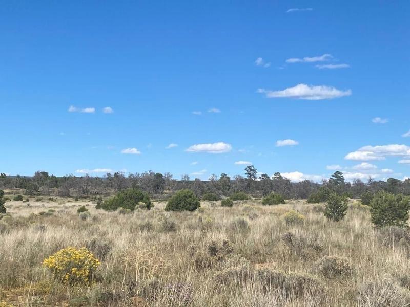 Pinehill, Cibola County, NM Recreational Property for sale Property ID: 418816416