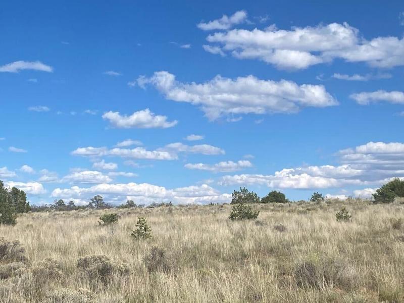 Pinehill, Cibola County, NM Recreational Property for sale Property ID: 418816415