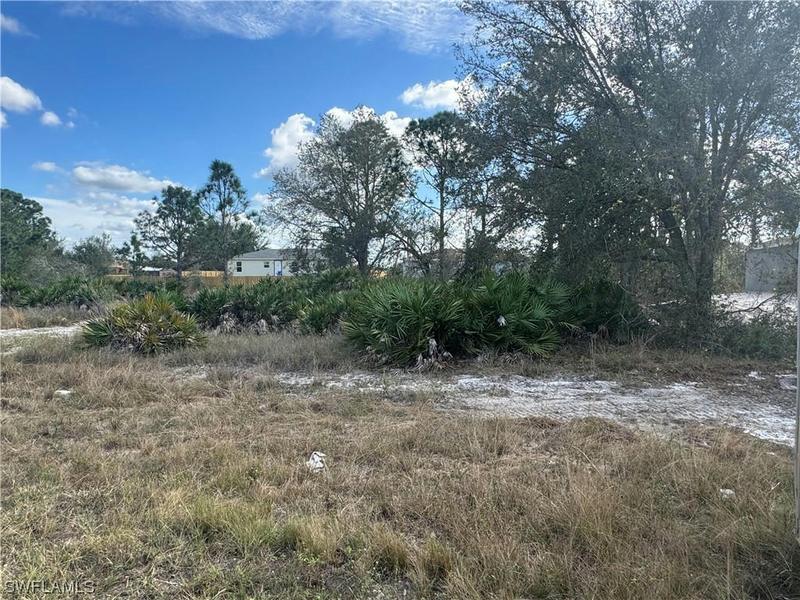 707 KOHLER AVE, LEHIGH ACRES, FL 33972 Land For Sale  MLS# 224008497