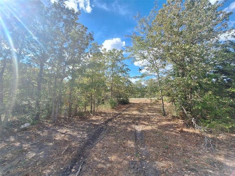 Lot 9 Timber Rdg, Caldwell, TX 77836 for Sale