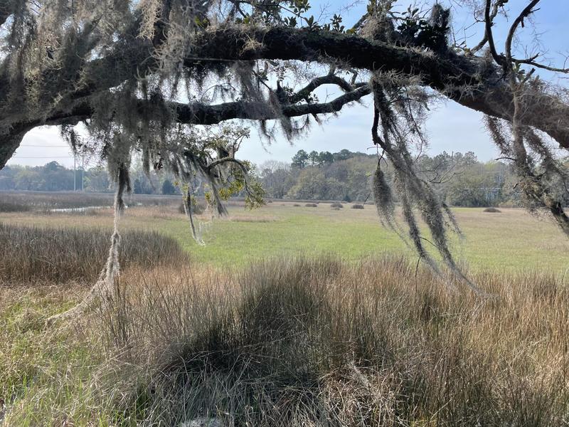 558 River Road, Johns Island, SC 29455 for Sale