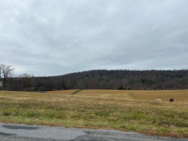Lot 1 Country Ridge Road, Bassett, VA 24055 for Sale