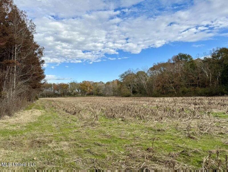 001 Stump Bridge Road, Canton, MS 39046  615177151 for Sale