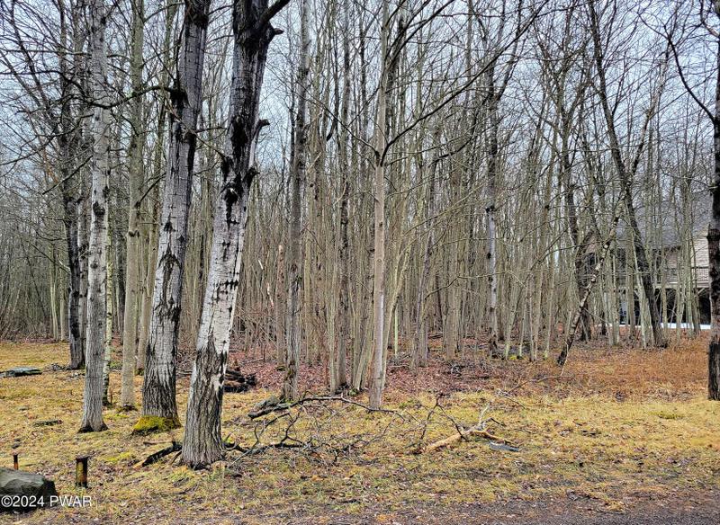Lake Ariel, Wayne County, PA Undeveloped Land, Homesites for sale Property ID: 418838089