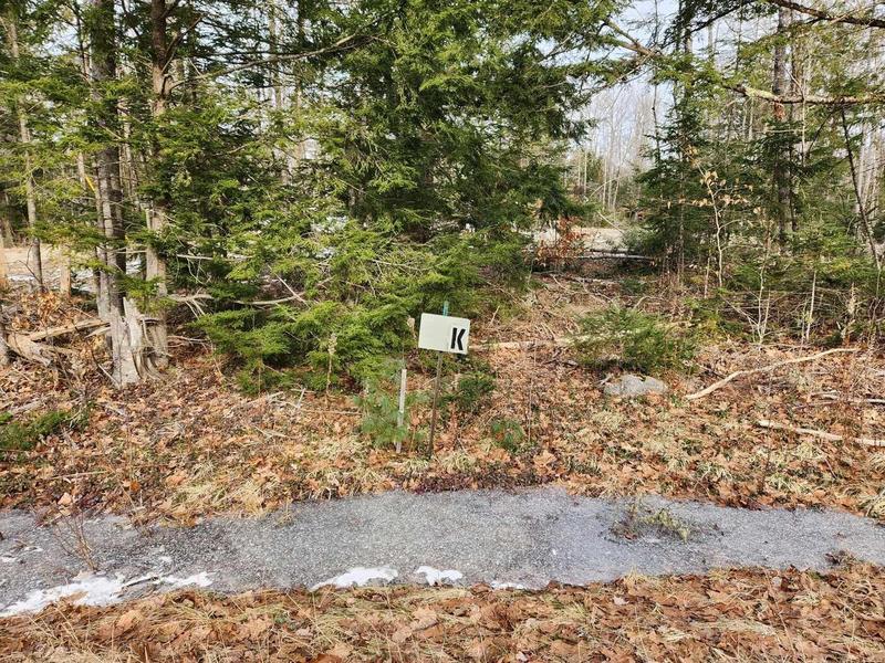 197 Poplar Street, Old Town, ME 04468  624826675 for Sale