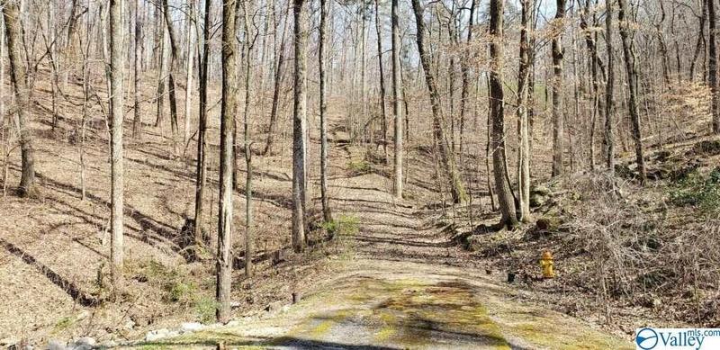 Gadsden, Etowah County, AL Undeveloped Land, Homesites for sale Property ID: 418708451
