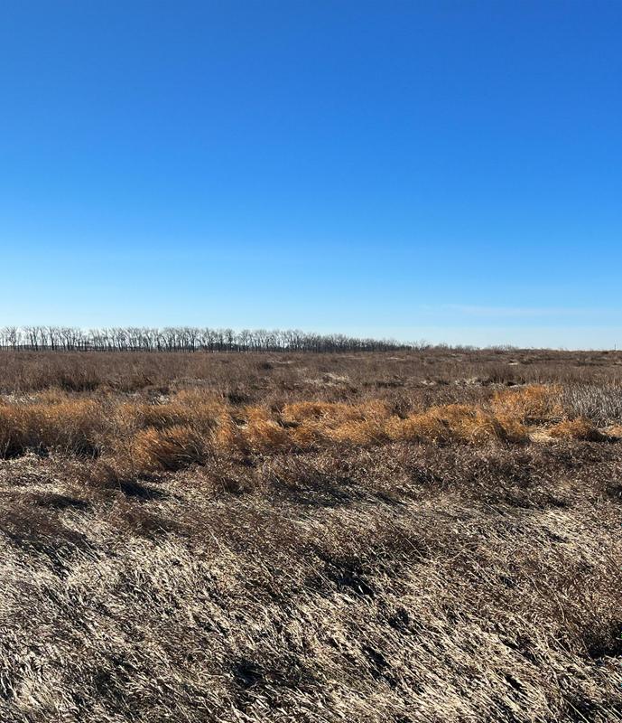 New Rockford, Eddy County, ND Hunting Property for auction Property ID: 418542540 for Sale