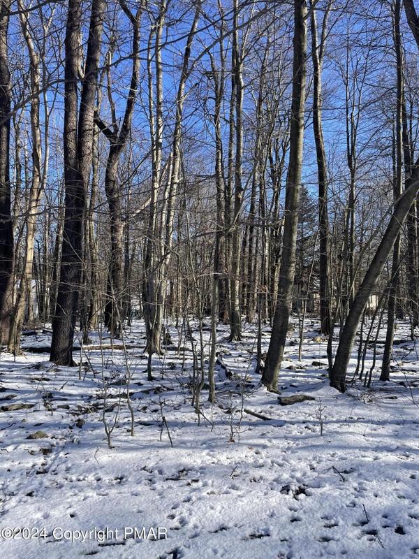 Tobyhanna, Monroe County, PA Undeveloped Land, Homesites for sale Property ID: 418837462