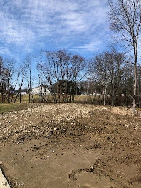 LEVEE, Magnolia, OH 44643 Single Family Residence For Sale  MLS# 5011222