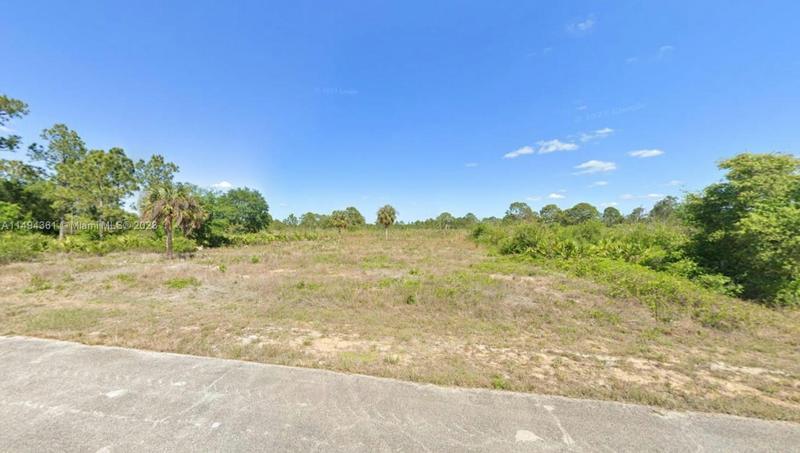 1512 EDISON AVE, Lehigh Acres, FL 33972 Single Family Residence For Sale  MLS# A11494361