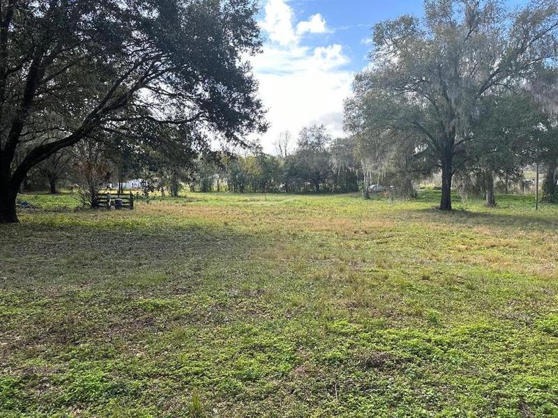 17370 Spring Valley Road, Dade City, FL 33523 for Sale