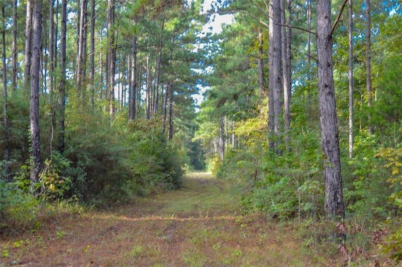 000 FM 223, Shepherd, TX 77371 for Sale