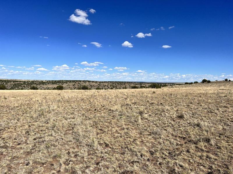 Williams, Coconino County, AZ Recreational Property, Homesites for sale Property ID: 418646046
