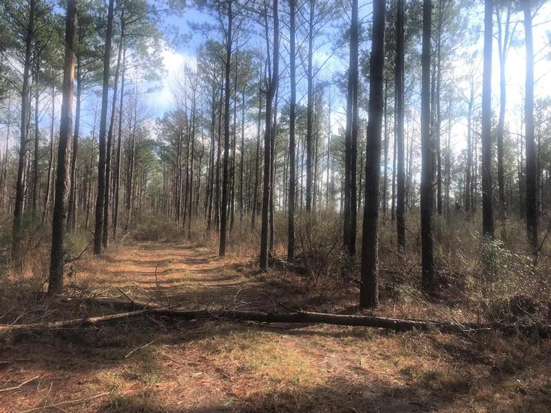 Tract 59 TBD, Clarksville, TX 75426 for Sale