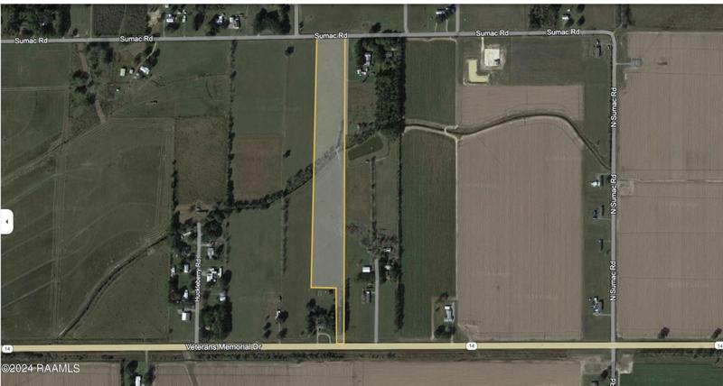 SUMAC ROAD, Kaplan, LA 70548 Single Family Residence For Sale  MLS# 24000594