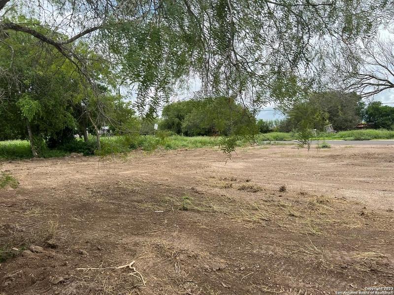 1015 E Pearson St, Freer, TX 78357 for Sale