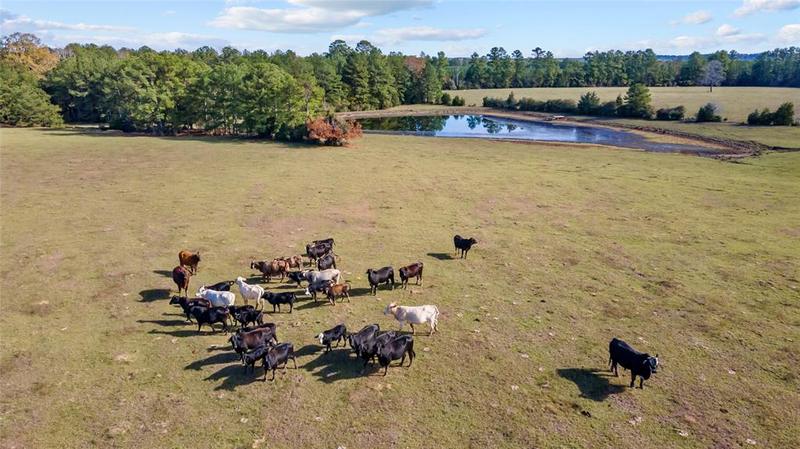 4138 CR 2570, Woodville, TX 75979 for Sale
