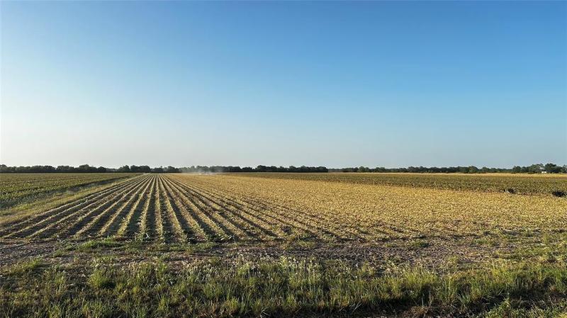 0 County Rd 384, Louise, TX 77455 for Sale