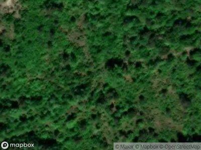 County Road 9 for Sale