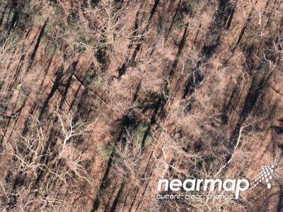 Drum Cliff Rd for Sale