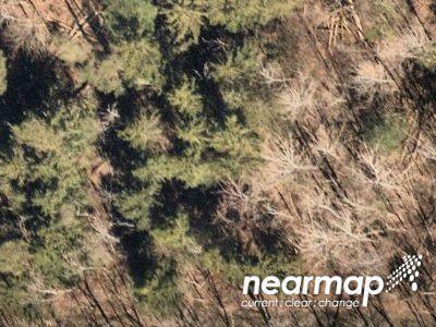 Chestnut Ridge Rd for Sale