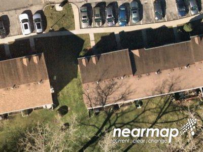 Poplar 17-6 for Sale