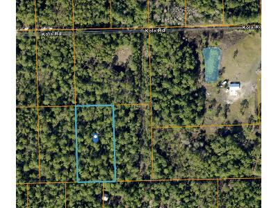 Smyrna Beach 32168 for Sale