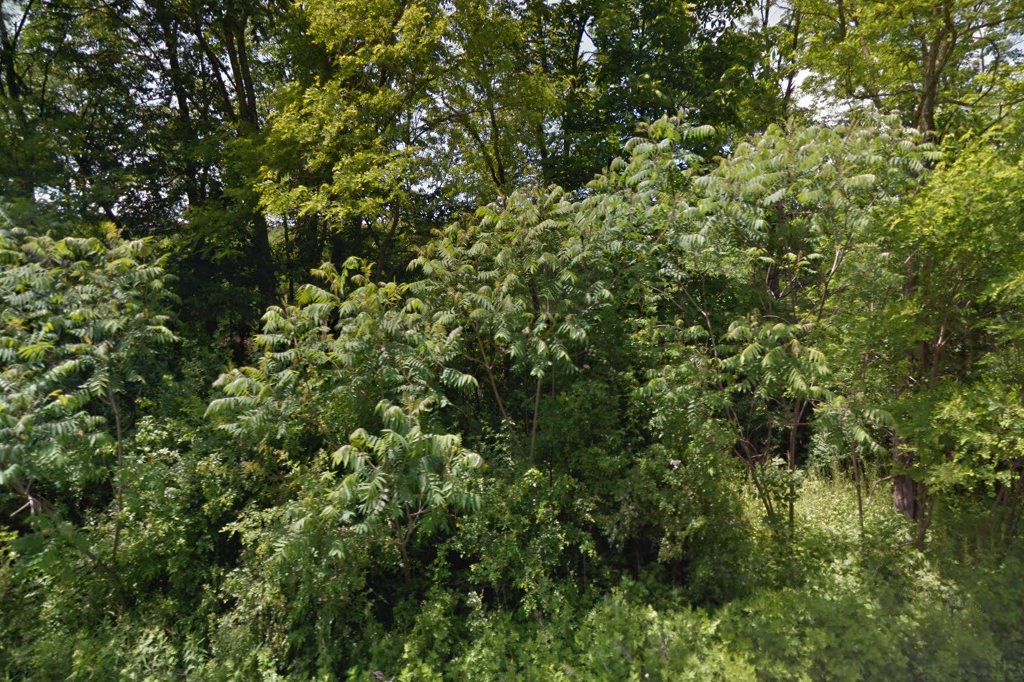 Wyoming County Housing Authority