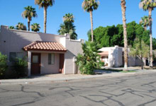 HACY Palms