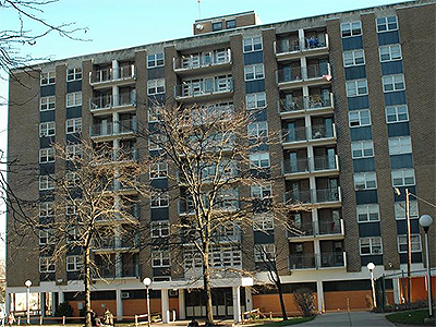 Stephen Crane Elderly NJ2-016